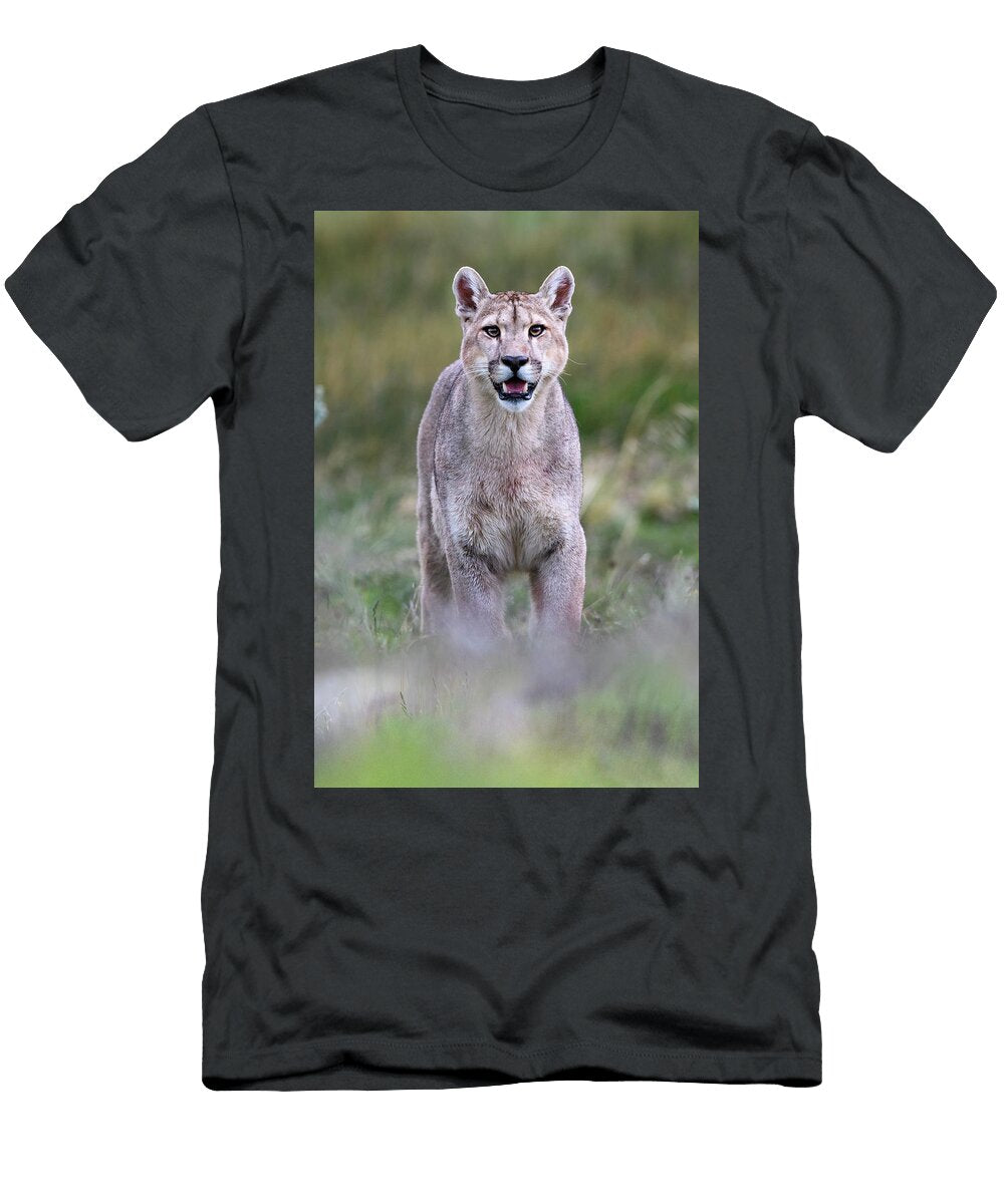 Puma Young Male Standing with Mouth Open Estancia Amarga Nick Garbutt Natureplcom T-Shirt