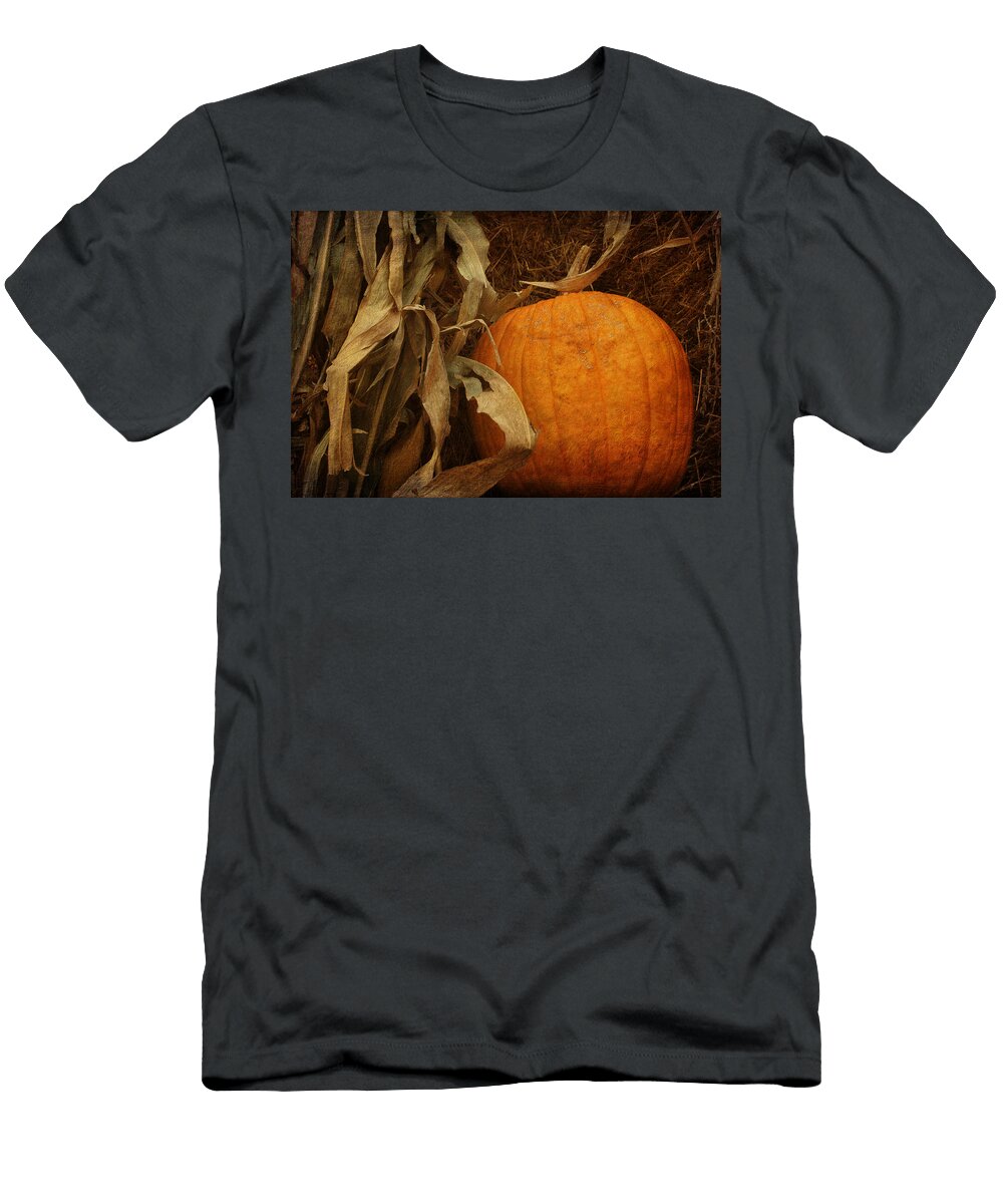 Pumpkin and Cornstalks Nikolyn Mcdonald T-Shirt