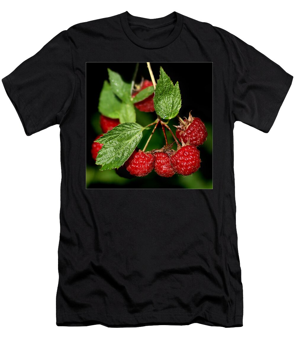 Raspberries Nikolyn Mcdonald T-Shirt