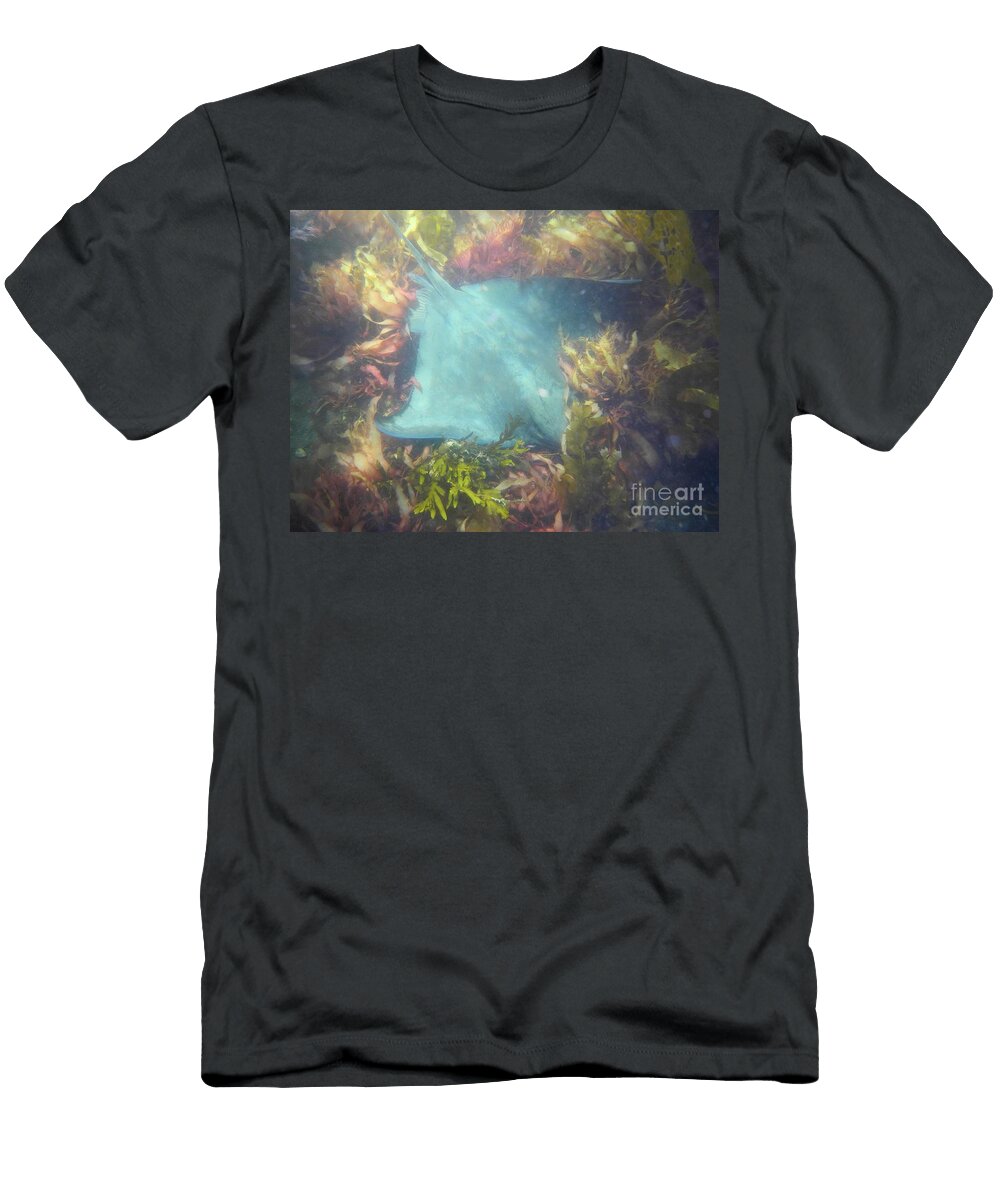 Resting Bat Ray Adam Jewell T-Shirt