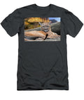 Resting Mountain Lion Arterra Picture Library T-Shirt