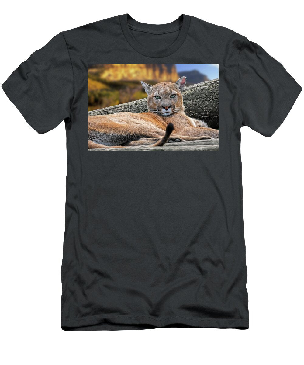 Resting Mountain Lion Arterra Picture Library T-Shirt