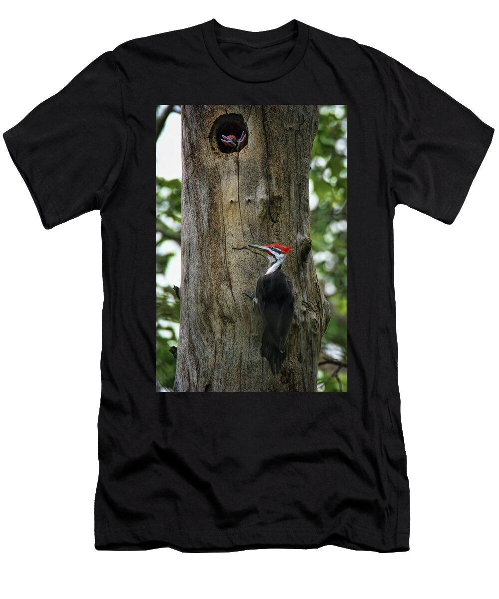 Return Pileated Woodpecker Nikolyn Mcdonald T-Shirt