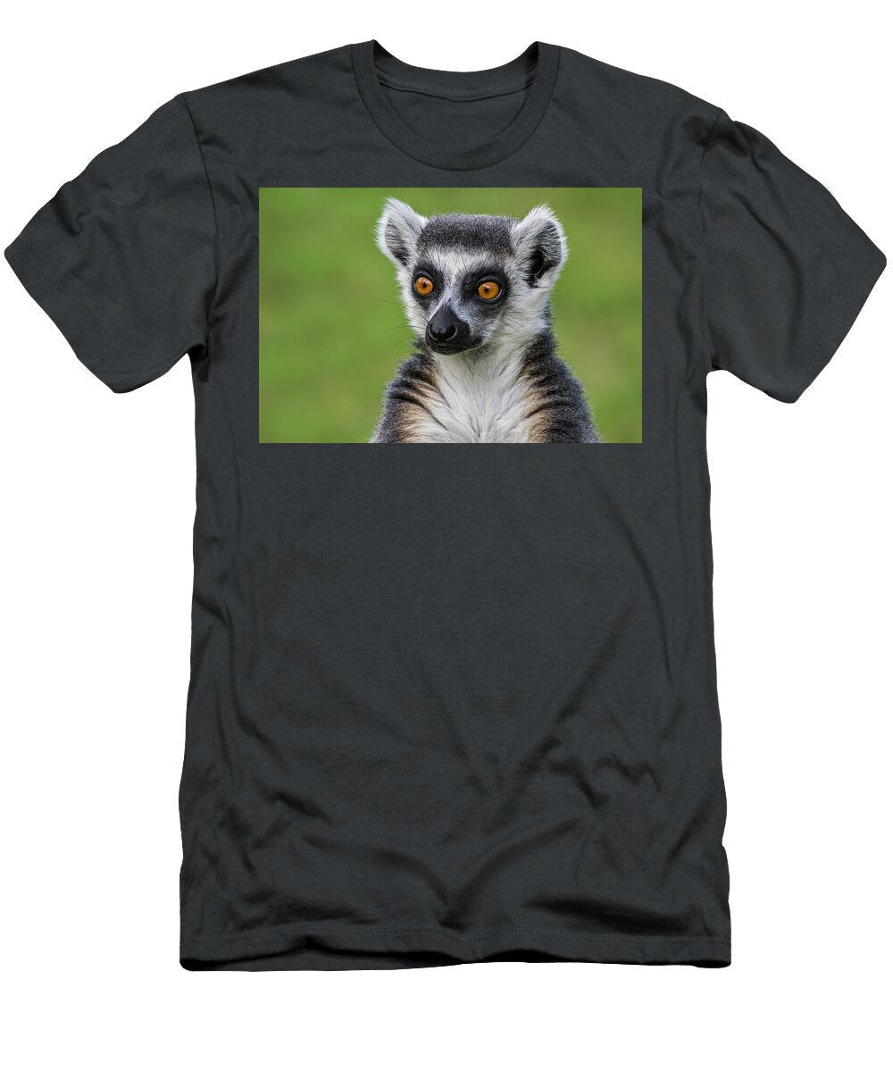 Ring Tailed Lemur Head Portrait Captive Occurs in Philippe Clement Natureplcom T-Shirt
