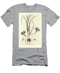 Romulee Bulbocode Channel Leaved Trichonema Romulea Trichonema Bulbocodium European School T-Shirt