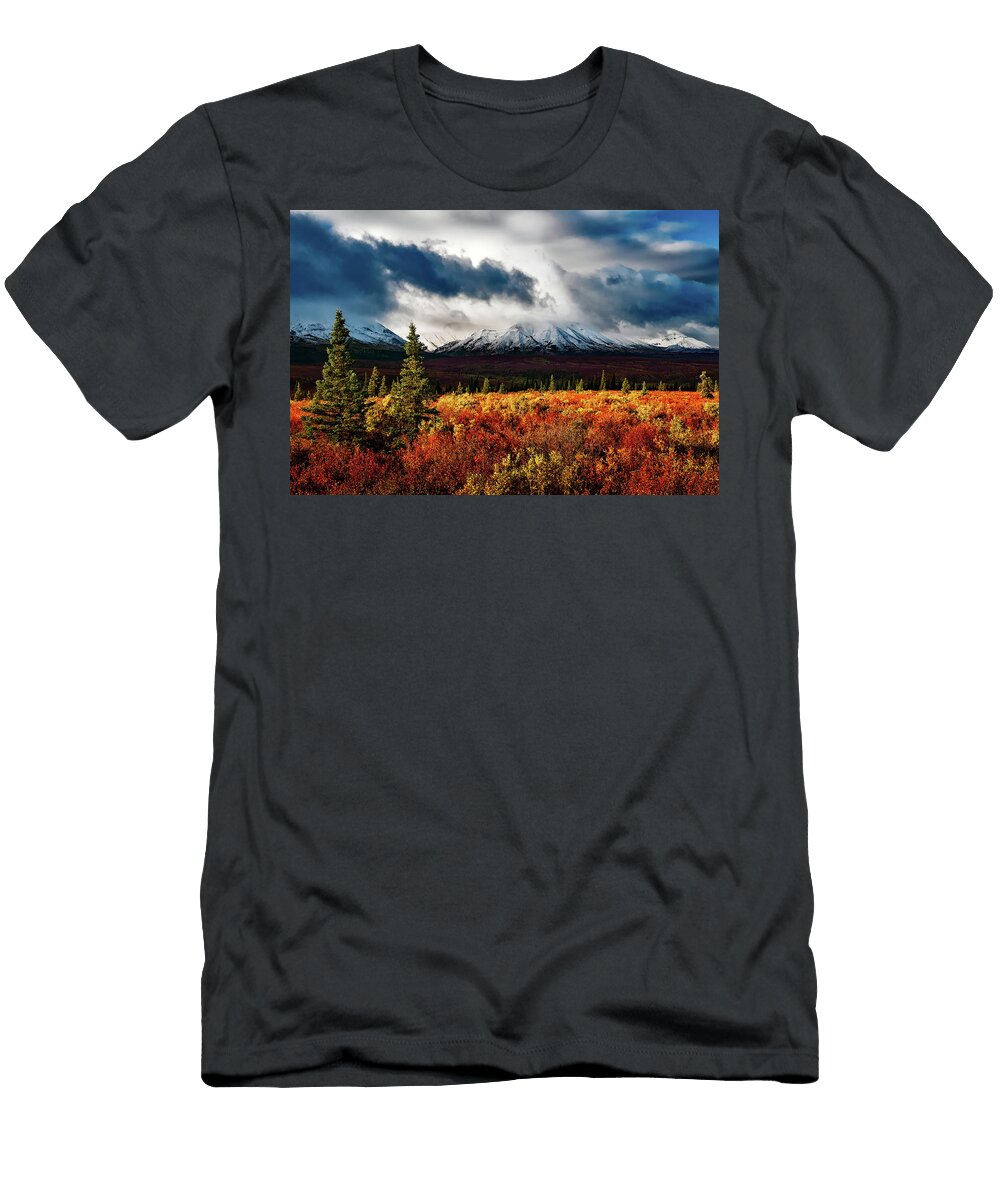 Scenic Denali Nps Tim Rains T-Shirt