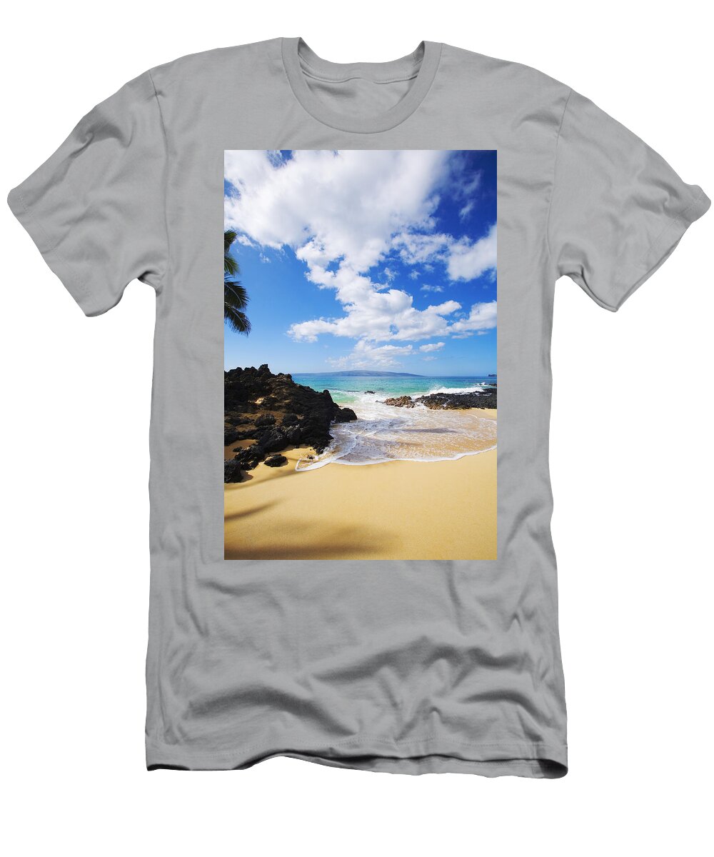 Secret Beach Seafoam Ron Dahlquist T-Shirt