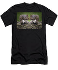 Secrets Squirrel Gossip Nikolyn Mcdonald T-Shirt