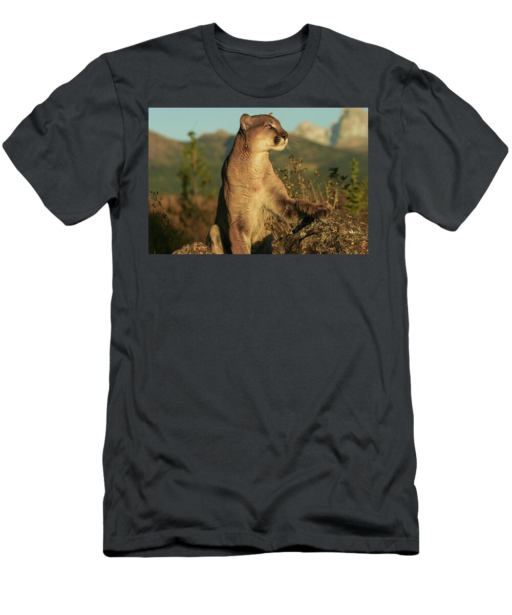 Silent Killer Ronnie and Frances Howard T-Shirt