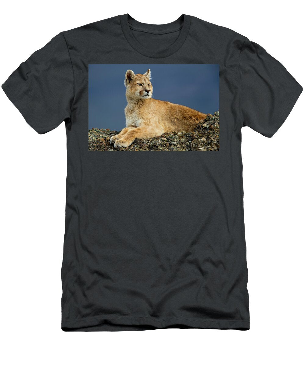 Six Month Old Mountain Lion Female in Patagonia Sebastian Kennerknecht T-Shirt