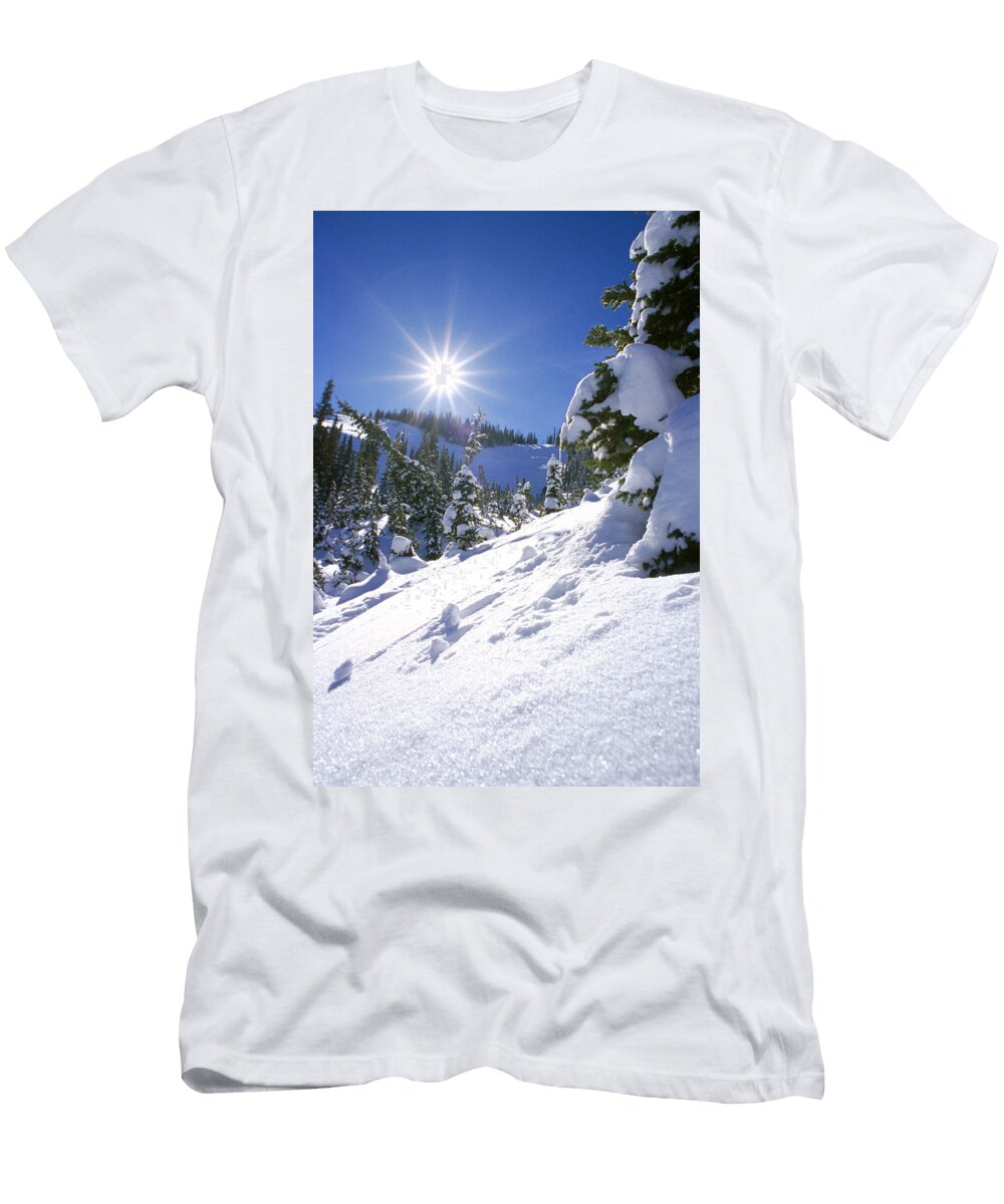 Snowscape with Bright Sun American School T-Shirt