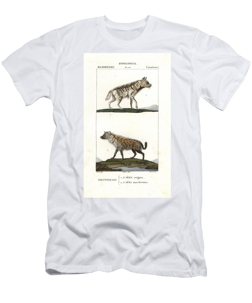 Striped and Spotted Hyenas European School T-Shirt