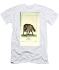 Striped Hyena Vintage Naturalist T-Shirt