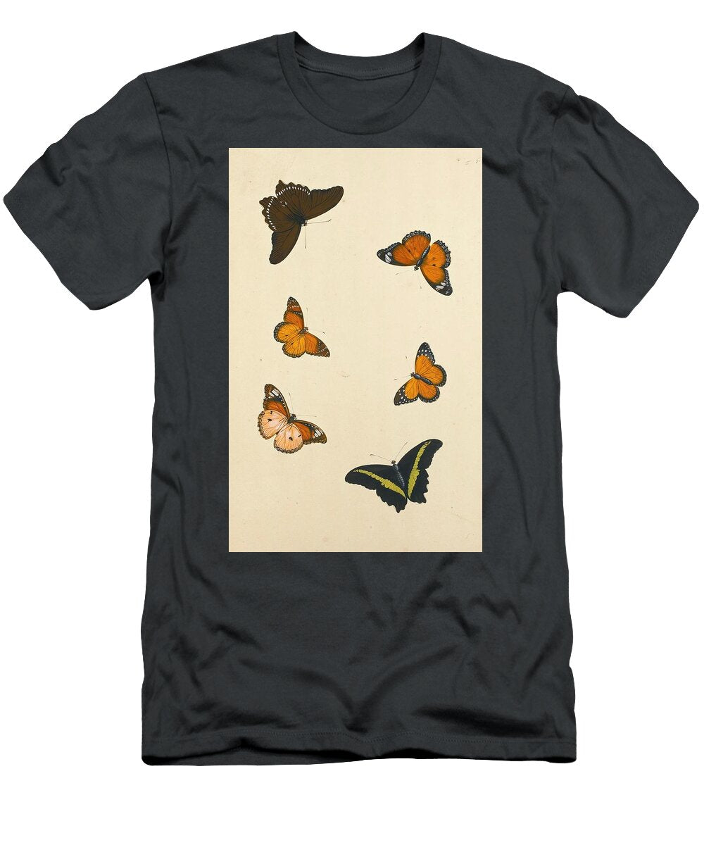 Studies of Six Butterflies Th Century Nicolas Struyk Dutch T-Shirt