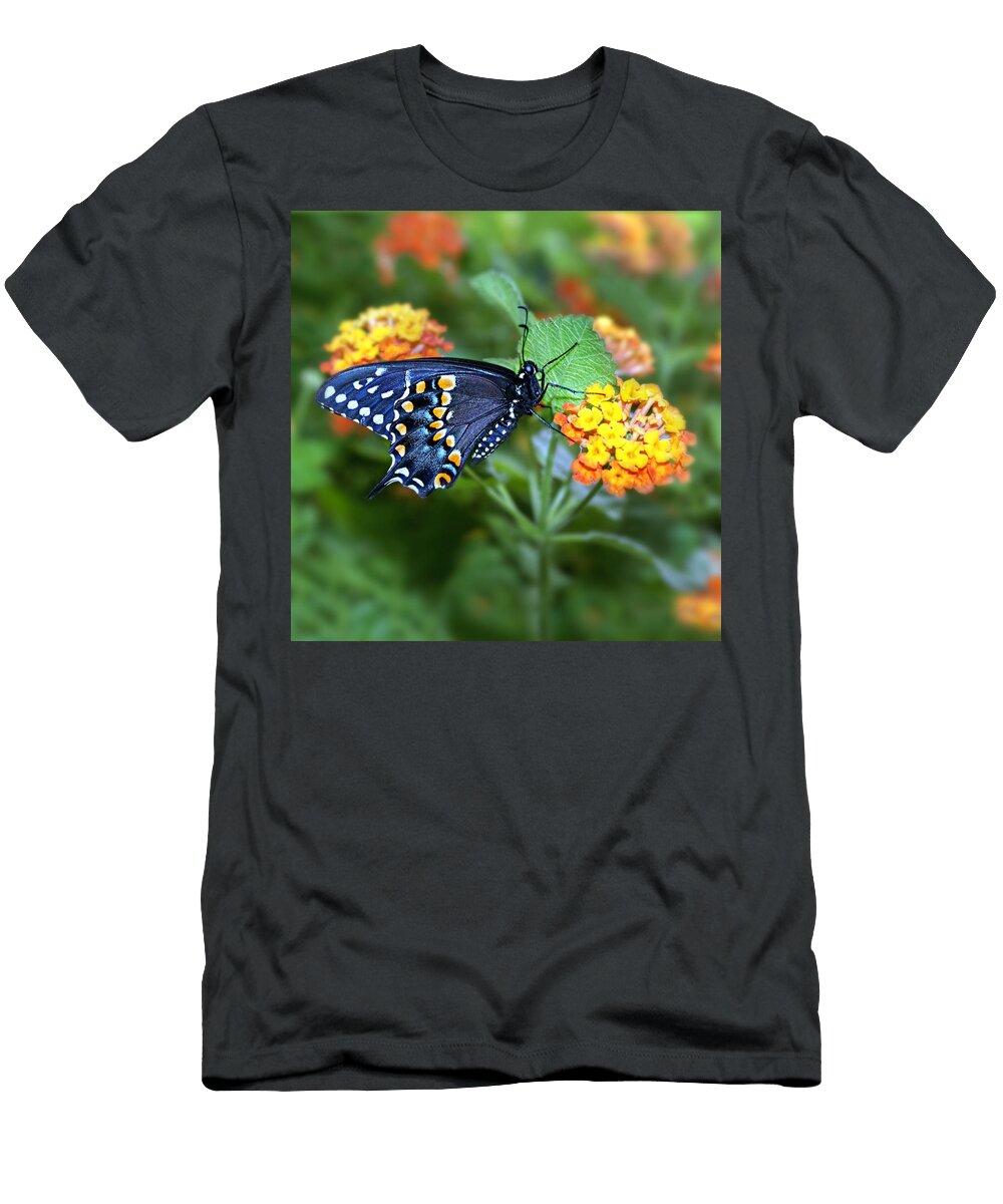 Summertime Ornament Nikolyn Mcdonald T-Shirt