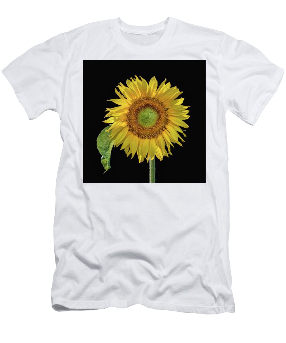 Sunflower with Leaf Square Nikolyn Mcdonald T-Shirt
