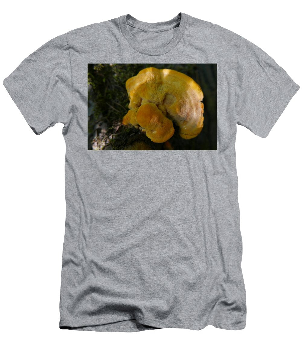 Sunlight Kaleidoscope Cheri Ceridwen T-Shirt