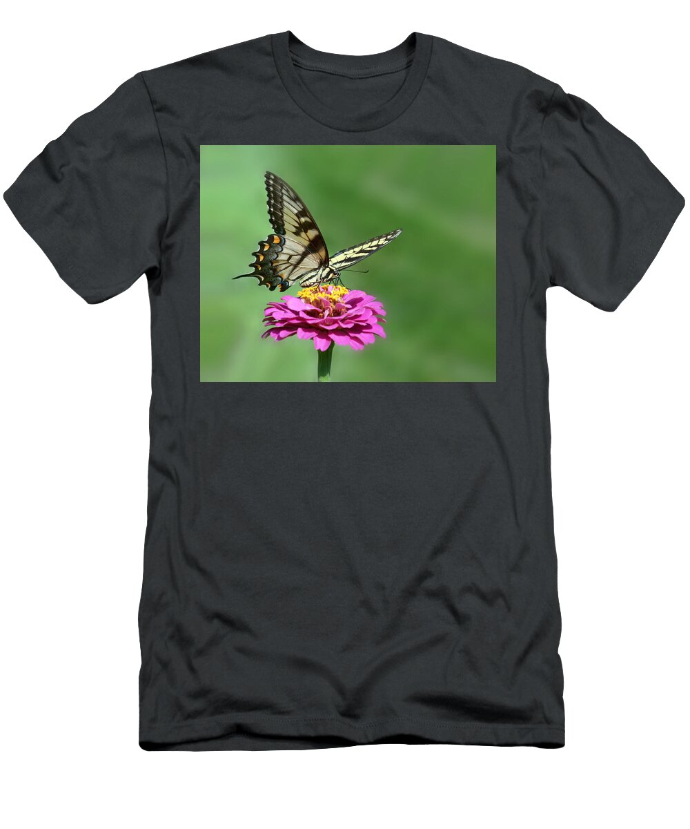 Swallowtail Visit 2011 Nikolyn Mcdonald T-Shirt