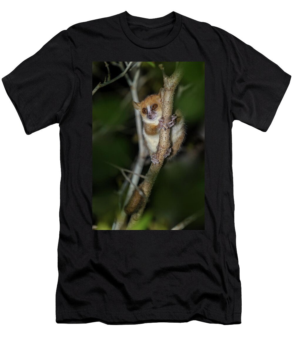 Tavaratra Mouse Lemur Sitting on Branch At Night Daraina Nick Garbutt Natureplcom T-Shirt