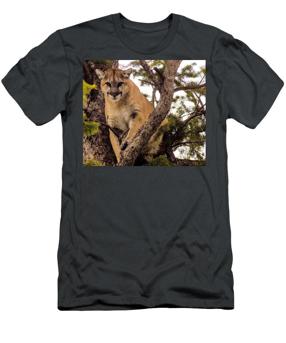 The Stare Brady Dunne T-Shirt