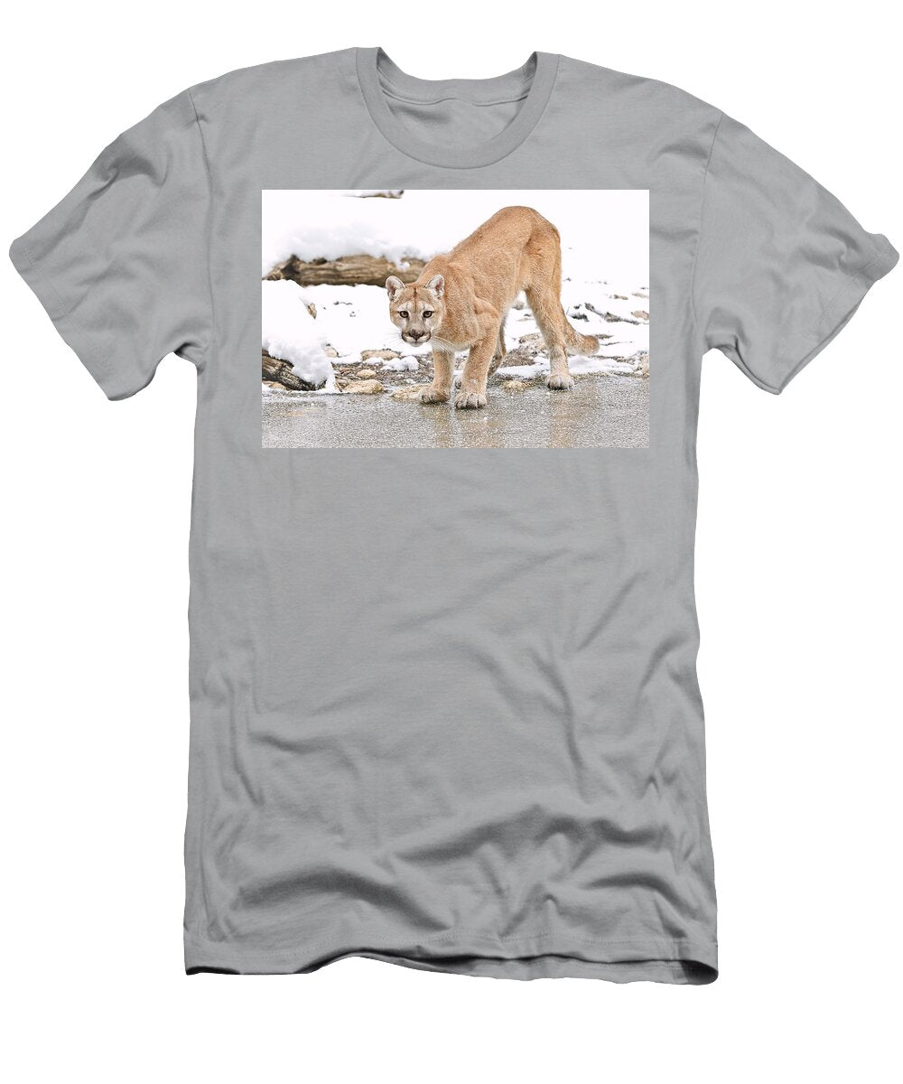 The Stare Down Athena Mckinzie T-Shirt