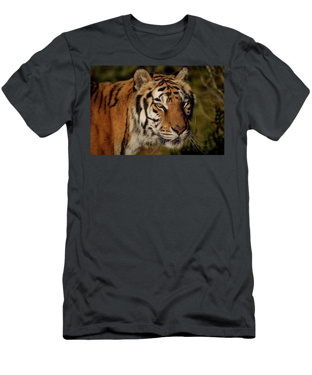 Tiger Predator Athena Mckinzie T-Shirt