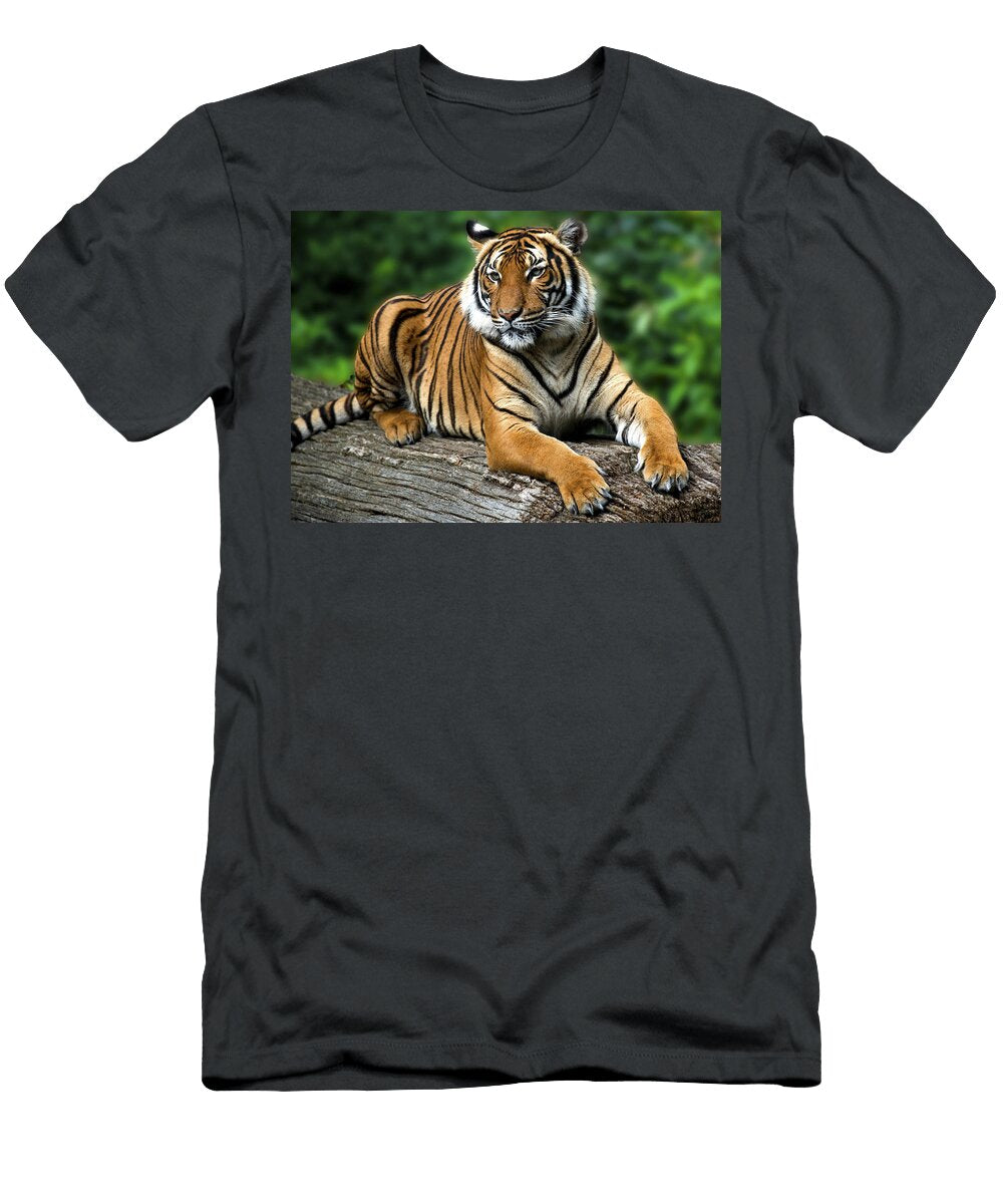 Tiger Tiago Rodrigues T-Shirt