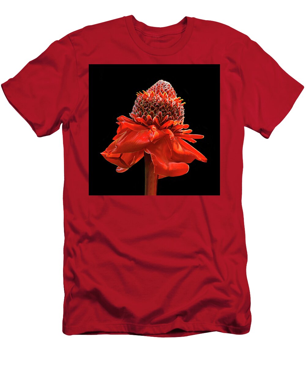 Torch Ginger Nikolyn Mcdonald T-Shirt
