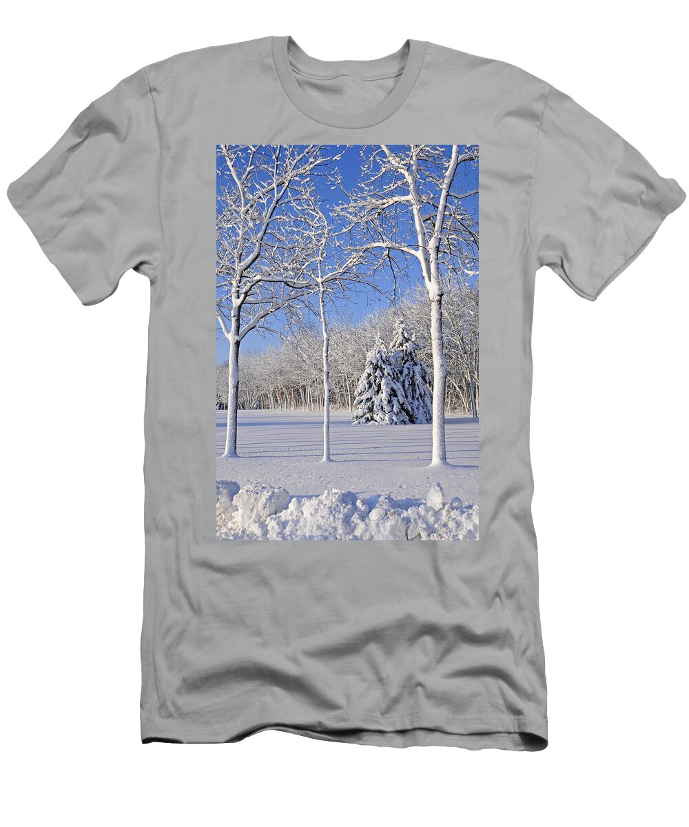 Trees in Snow Wisconsin Anonymous T-Shirt