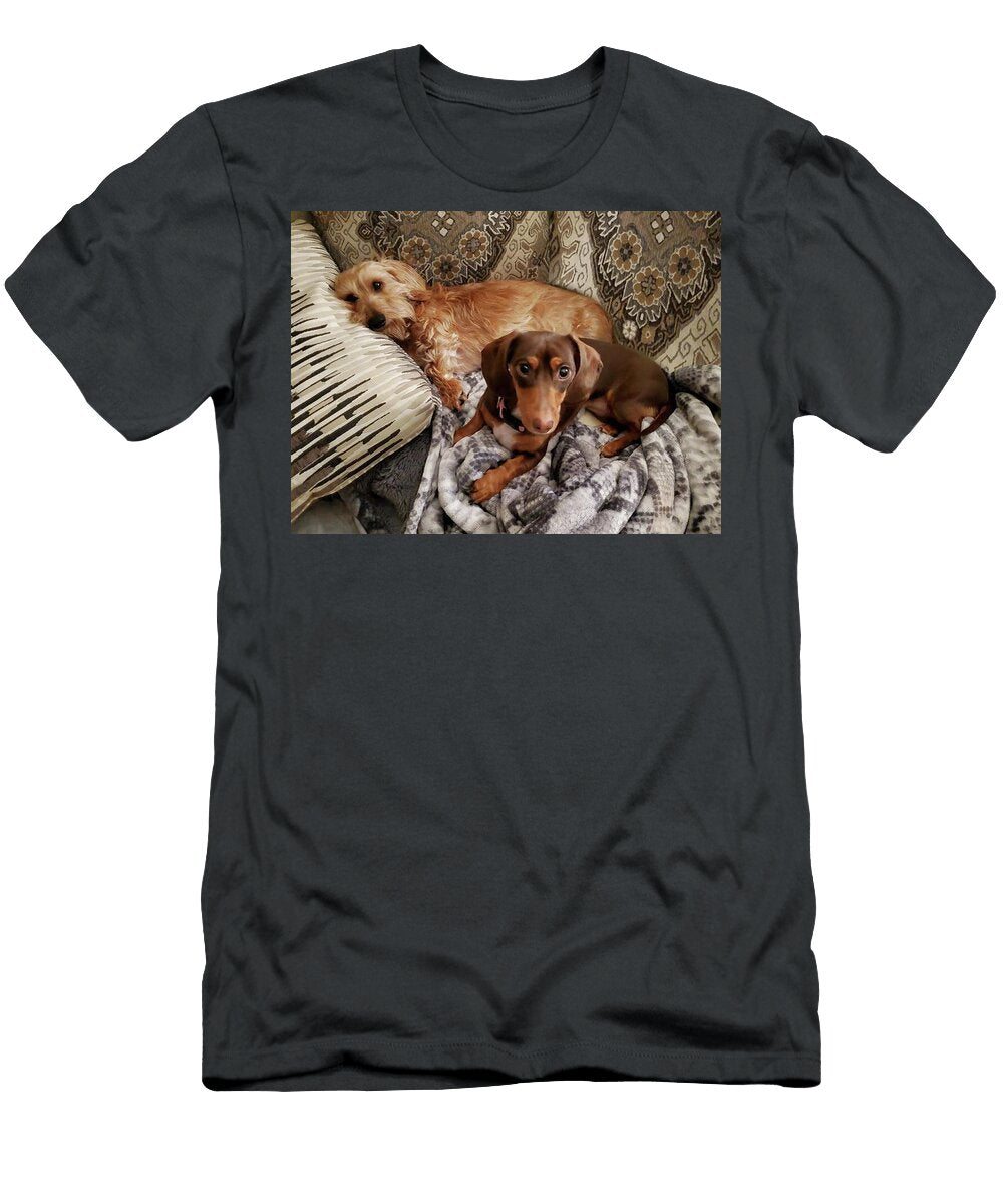 Two Lazy Daisies Dogs on the Couch Irina Sztukowski T-Shirt