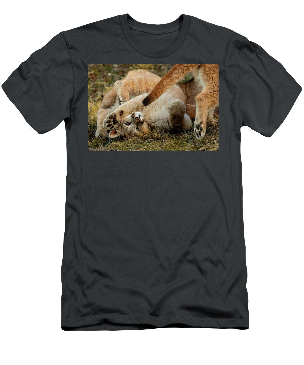 Two Puma Cubs Playing Feet Pads Visible Torres Del Paine Lucas Bustamante Natureplcom T-Shirt