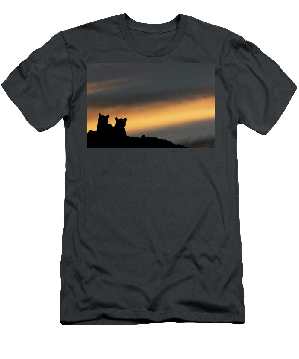 Two Puma Cubs Resting At Sunset Torres Del Paine National Lucas Bustamante Natureplcom T-Shirt