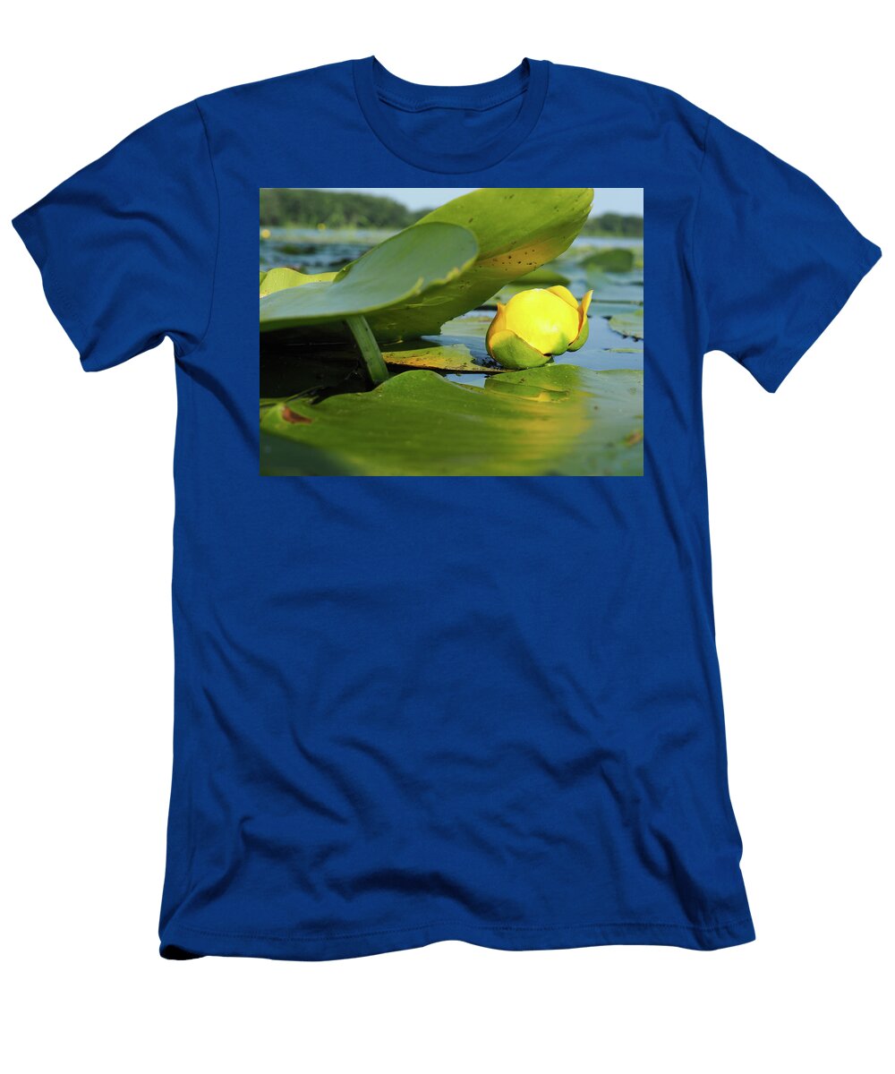 Umbrella James Peterson T-Shirt