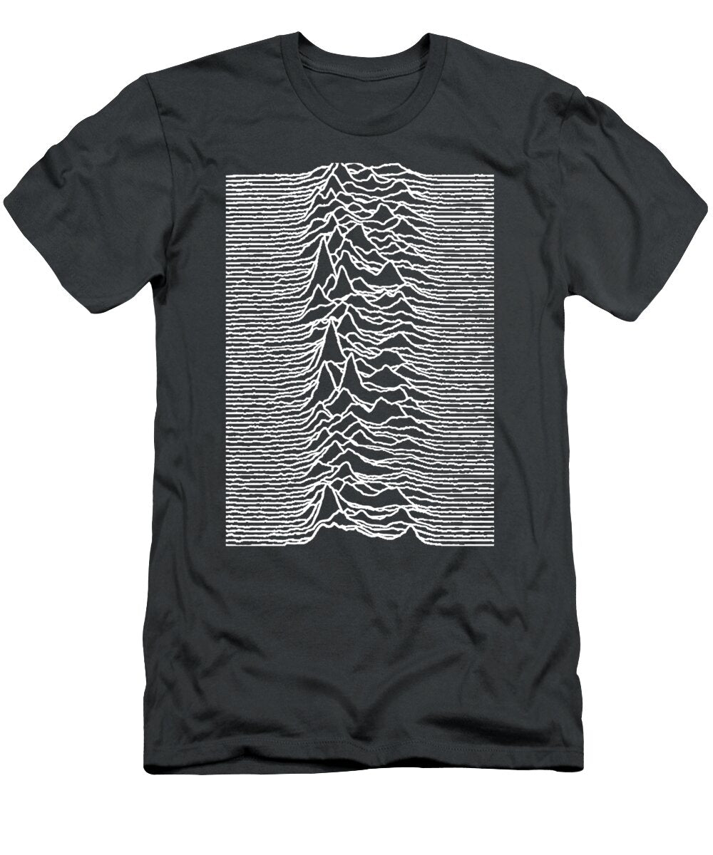 Unknown Pleasures Dinh Soan Duong T-Shirt