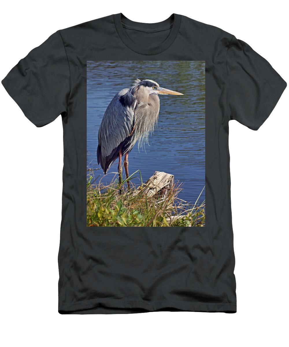 Vigilant Nikolyn Mcdonald T-Shirt