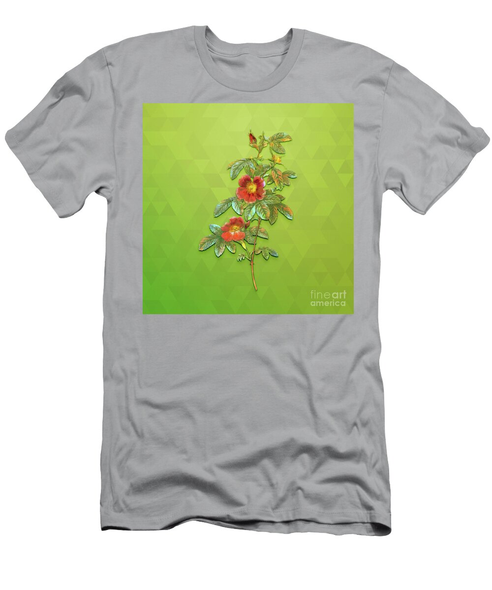 Vintage Single May Rose Botanical Art on Love Bird Green N1847 Holy Rock Design T-Shirt
