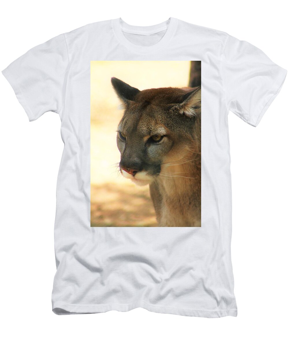 Why the Grumpy Face Brittney Powers T-Shirt