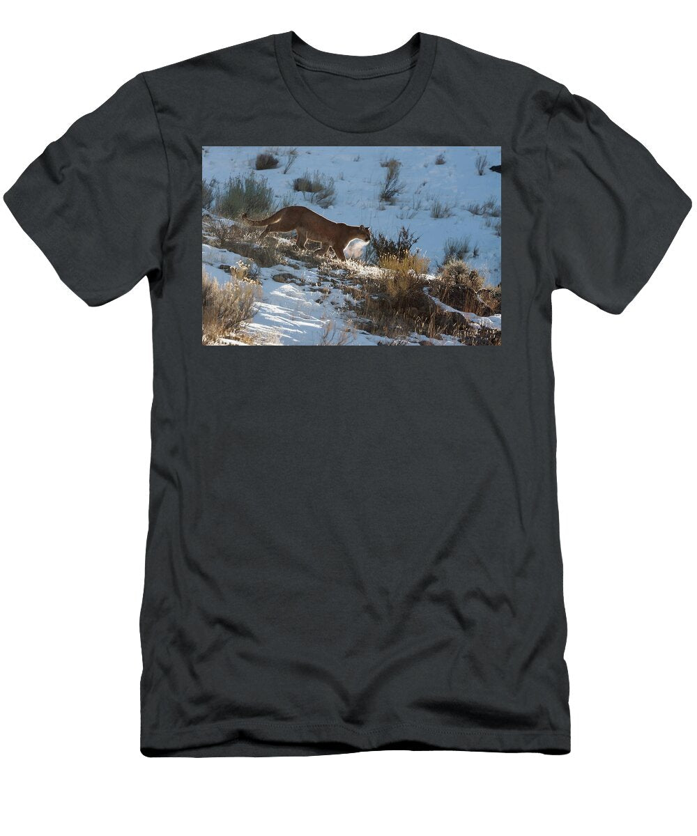 Wild Mountain Lion Mark Miller T-Shirt