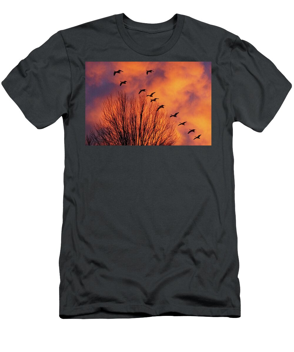 Winter Flight in Orange Nikolyn Mcdonald T-Shirt