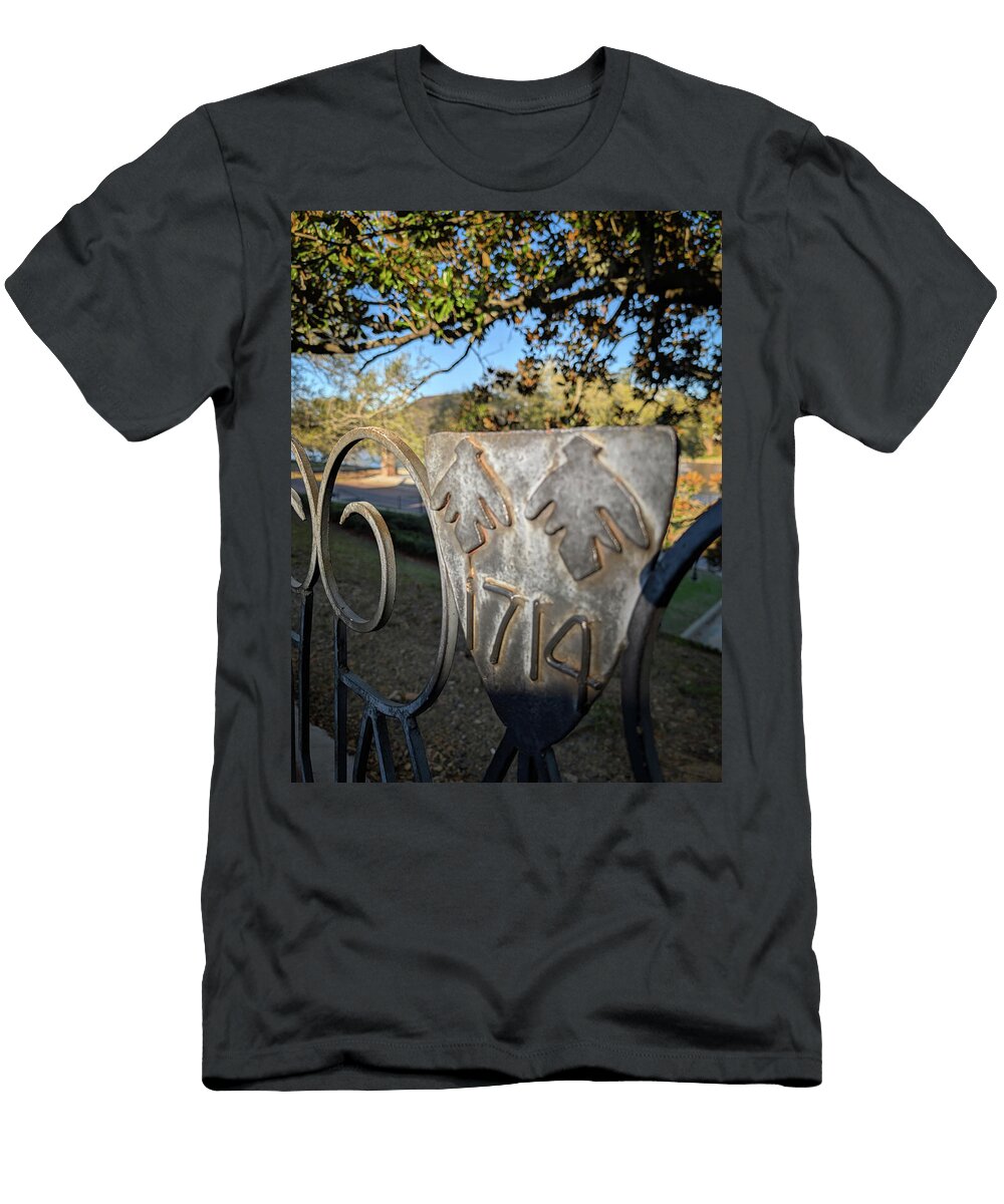 Wrought Iron Fence Detail Buck Buchanan T-Shirt