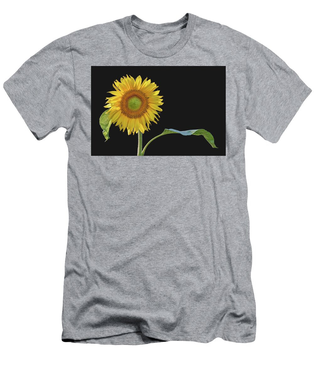 You Are My Sunshine Sunflower Nikolyn Mcdonald T-Shirt